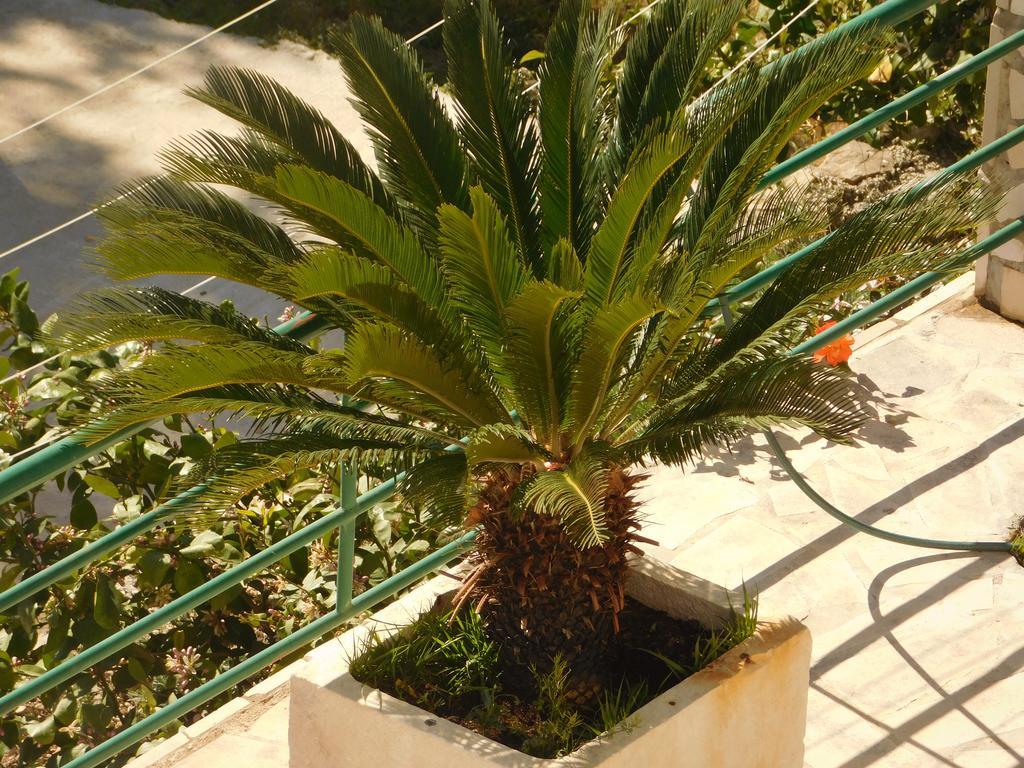 Villa Ana Podgora Bagian luar foto